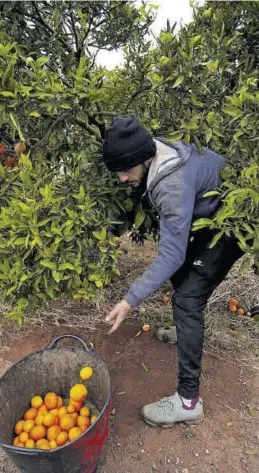  ?? GABI UTIEL ?? La agricultur­a acabó el primer trimestre del año con 2.000 empleos menos.