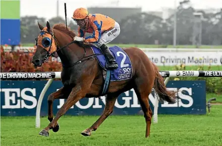  ?? SUPPLIED ?? Gingernuts takes his New Zealand Derby form to Sydney as he and Opie Bosson combine again for an easy win in the Rosehill Guineas.