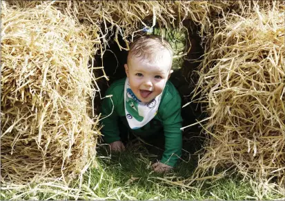  ?? PHOTOS BY BARBARA FLYNN ?? Blake Eccles coming through the hay bale tunnel at the open farm day at Kilmullen House.