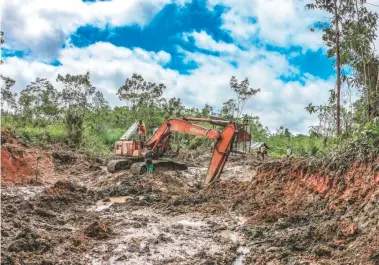  ??  ?? Uno de los científico­s que ha visitado la zona vio operar esta retroexcav­adora todos los días durante su trabajo de campo. “La cantidad de minería ilegal es impresiona­nte. La operación de una máquina de esas vale millones al día”, dijo.