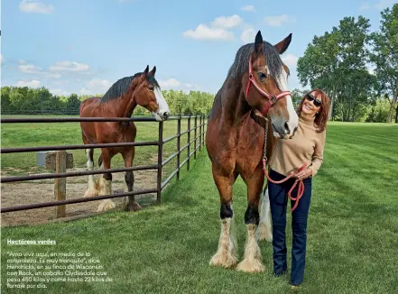  ?? ?? Hectáreas verdes
“Amo vivir aquí, en medio de la naturaleza. Es muy tranquilo”, dice Hendricks, en su finca de Wisconsin con Rock, un caballo Clydesdale que pesa 450 kilos y come hasta 23 kilos de forraje por día.