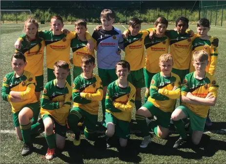  ??  ?? Rathnew Under-13s, who ran out impressive winners against Arklow Town.