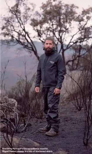  ??  ?? Rewilding Portugal’s fire surveillan­ce monitor, Miguel Pontes, stands in a sea of blackened debris