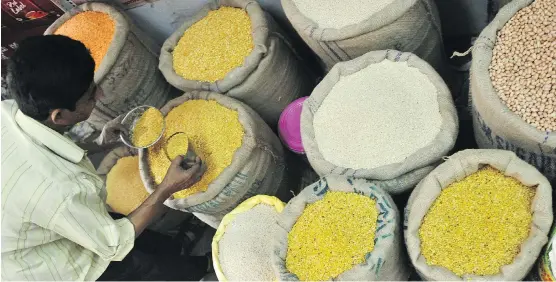  ?? AFP- GETTY IMAGES/ FILES ?? Rain and snow damaged a bumper lentil crop in Canada, which is the world’s top exporter of the pulse that is widely consumed in places like India.