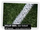  ?? FOTO: MOSTPHOTOS ?? HYLLAT GRÄS. Gör fotboll till konst.