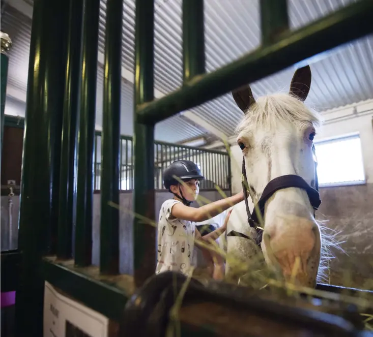  ?? Bilder: Edvin Bergström ?? Ingrid Öhman trivs bra i stallet. Här borstar hon hästen Malou. Hon tycker att det finns många bra saker med att vara i stallet. Framför allt gillar hon att prata med dem.