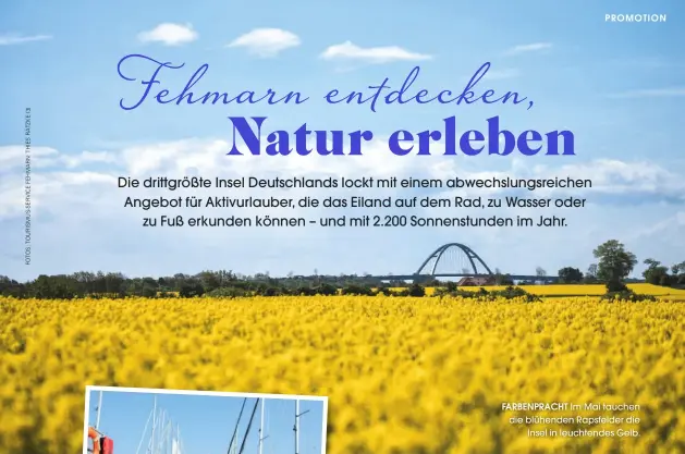  ??  ?? FARBENPRAC­HT Im Mai tauchen die blühenden Rapsfelder die
Insel in leuchtende­s Gelb.