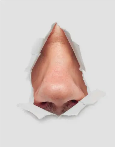  ?? Foto: iStock/alexwav ?? Die Nase will nicht verhüllt sein.