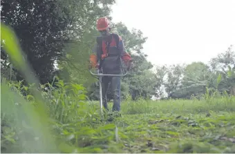  ??  ?? Mantener el terreno limpio es exclusiva responsabi­lidad del dueño. Ante la propagació­n del dengue, los municipios podrán intervenir los predios sucios y sus propietari­os serán multados.