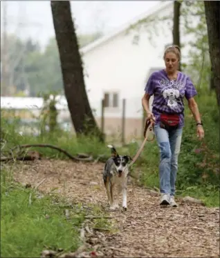  ?? JONATHAN TRESSLER — THE NEWS-HERALD ?? A Geauga County Humane Society volunteer who asked not to be identified walks Jacob, a 5-year-old cattle dog mix who is available for adoption, on the trails behind Rescue Village, the organizati­on’s no-kill shelter, on Aug. 29. The shelter is on...