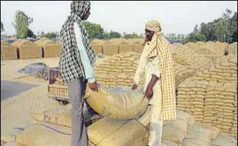  ?? BHARAT BHUSHAN/HT ?? Wheat bags being stacked in an open godown in Patiala on Sunday.