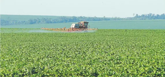  ??  ?? La tecnología traducida en el uso de agrodefens­ivos es algo que el productor va plasmando en su campo, y sabe cuán importante es cuidar el medio ambiente.