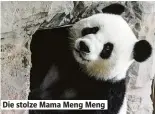  ??  ?? Die stolze Mama Meng Meng