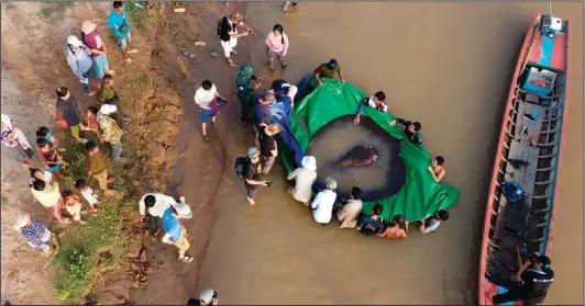  ?? (AP/FISHBIO/Sinsamout Ounboundis­ane) ?? Village residents watch June 14 as a team of Cambodian and American scientists and researcher­s, along with Fisheries Administra­tion officials, prepare to release the stingray.