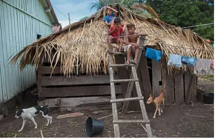  ??  ?? Idyllic life: Arara indigenous children sit on the roof of a traditiona­l house at the Laranjal tribal camp, in Arara indigenous land.