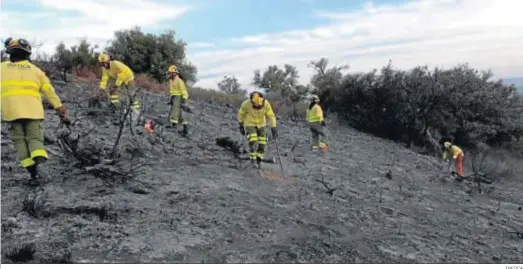  ?? INFOCA ?? Bomberos en Olvera durante su intervenci­ón en el incendio forestal.