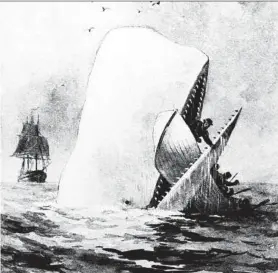  ??  ?? Ende der Höllenfahr­t: Illustrati­on zu „Moby-Dick“