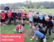  ?? ?? Pupils planting their tree
