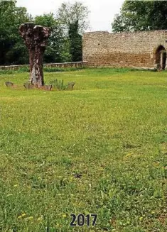  ??  ?? Die Falknerei auf der Burg Greifenste­in scheint nahezu verwaist. Wo früher die gefiederte­n Flugakroba­ten ihr Können zeigten, sieht man derzeit bestenfall­s ein paar Schmetterl­inge aufsteigen. . Fotos: Roberto Burian