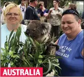  ??  ?? Jet-setting: Meeting a koala in Sydney
AUSTRALIA