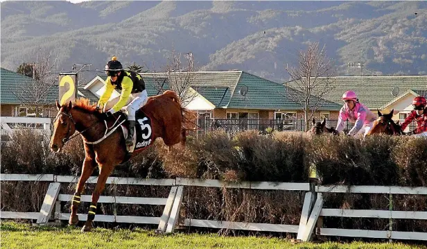  ?? PHOTO: PETER MCDONALD/FAIRFAX NZ ?? The Wellington Steeplecha­se winning combinatio­n of Eric the Viking and jockey Matt Cropp lead the field in the later stages of the $75,000 feature jumps event at Trentham on Saturday. The 10-year-old Eric the Viking won by five lengths from Crash...