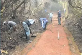  ?? CORTESÍA SINAC ?? Un rostro renovado tendrá el Volcán Poás a partir de este viernes.