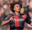  ?? ?? Su Joshua Zirkzee Attaccante del Bologna