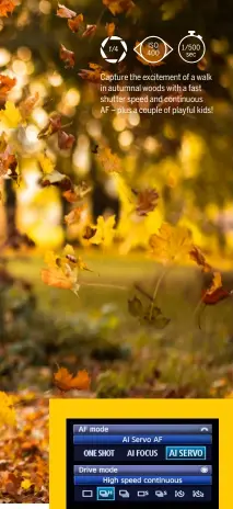  ??  ?? Capture the excitement of a walk in autumnal woods with a fast shutter speed and continuous AF – plus a couple of playful kids!