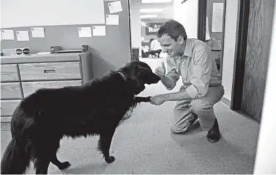  ?? RJ Sangosti, The Denver Post ?? Andrew Romanoff, the Democratic challenger in the race for the 6th Congressio­nal District, plays with his dog, Zorro, at his campaign headquarte­rs. Romanoff has had little time for a personal life.