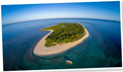  ?? ?? The Apo Reef in Occidental Mindoro is the world’s second largest coral reef system