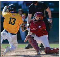  ?? (NWA Democrat-Gazette/Andy Shupe) ?? Senior catcher Casey Opitz tags out Murray State’s Trey Woosley at the plate during the sixth inning of top-ranked Arkansas’ victory Saturday at Baum-Walker Stadium in Fayettevil­le. More photos available at arkansason­line.com/37msuua.