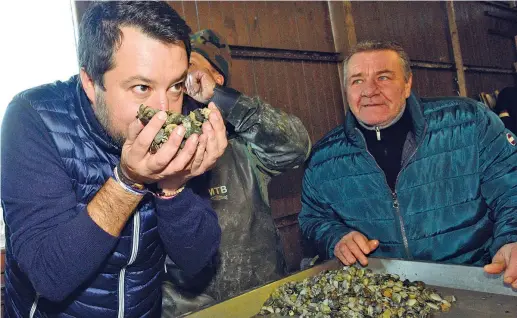  ?? (Lapresse) ?? Ferrara
Il leader della Lega Matteo Salvini, 46 anni, ieri durante una delle tappe della campagna elettorale in Emiliaroma­gna: a bordo di un pescherecc­io alla foce del Po, nei pressi del Lido degli Estensi, per la pesca delle vongole