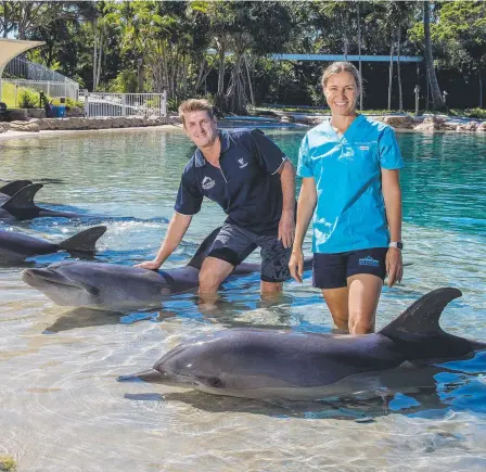  ?? Picture: Jerad Williams ?? Head of Marine Sciences Wayne Phillips and veterinari­an Claire Madden with some of Sea World’s dolphins, the subject of planned protests outside the Main Beach attraction on Saturday morning.