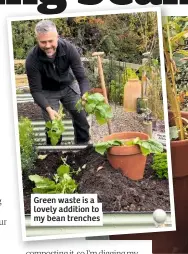  ??  ?? Green waste is a lovely addition to my bean trenches