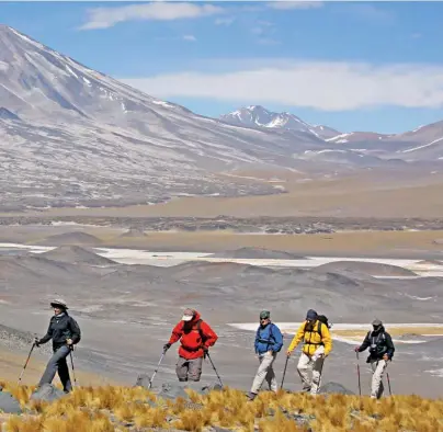  ??  ?? Mientras se asciende al Falso Morocho, el telón de fondo es el Incahuasi y la laguna San Francisco. Abajo: flamencos y guanacos son los habitantes de la fauna más caracterís­ticos de esta región.