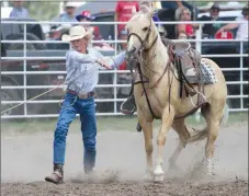  ?? Tim Conover ?? Riggin Heikel of Pleasanton, pictured above, competed in Calf roping at the Sumner Rodeo the afternoon of July 4th as he dismounts his horse to tie the calf after roping it.