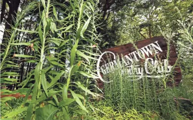  ?? PHOTOS BY JOE RONDONE/THE COMMERCIAL APPEAL ?? Overgrowth covers the sign at the Germantown Country Club.