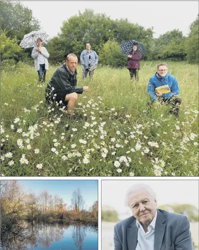  ?? SIMON HULME/JAMES HARDISTY/PA ?? PRECIOUS SPACES: Top, CPRE campaigner­s left, back row, Sandra Fretwell-Smith, Claire Baker, Christine Rippon; front row, Gary Monaghan and Andy Tickle at Moorthorpe Bank, Owlthorpe, Sheffield; left, Askham Bog, York, and right, Sir David Attenborou­gh.PICTURES: