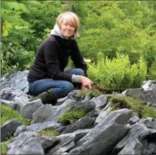  ??  ?? Garden Designer Liat Schurman working in her Bllom 2017 garden called ‘Transition’. Photo: Caroline Quinn