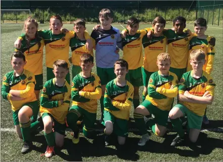  ??  ?? Rathnew Under-13s, who ran out impressive winners against Arklow Town.