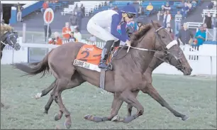  ?? Picture: Denzil Govender ?? ELUSIVE SILVA, with Bernard Fayd'herbe in the saddle, went head-to-head with Dark Moon Rising, ridden by Craig Zackey, before winnig the World Sports Betting 1900 at Greyville yesterday from Matador Man and Platinum Prince.