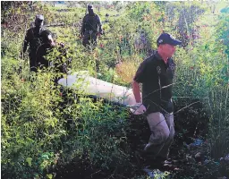  ?? FOTO: ESTALIN IRÍAS ?? Momento en que el personal de Medicina Forense realiza el levantamie­nto del cuerpo del presunto miembro de la Pandilla 18.