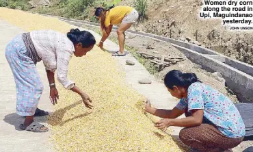  ??  ?? Women dry corn along the road in Upi, Maguindana­o yesterday. JOHN UNSON