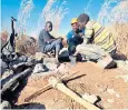  ??  ?? Zimbabwean miners try to make a living out of the ochre dust at Msasa