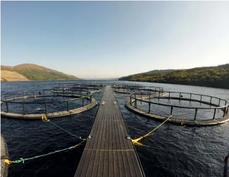  ??  ?? Clockwise from above right: Triton pens in the Canaries; Fusion’s work                                                Knock hatchery on Mull; Loch Frisa