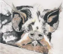  ?? ?? Hand-coloured drypoint print titled “Want to play?” says Mr Kune by Keeley Eastwood.
