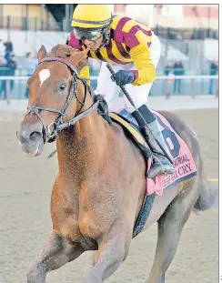  ??  ?? BREED APART: Irish War Cry is the first horse sisters Isabelle de Tomaso and Hope Haskell Jones are sending to the Kentucky Derby in Saturday’s first leg of the Triple Crown at Churchill Downs (below).