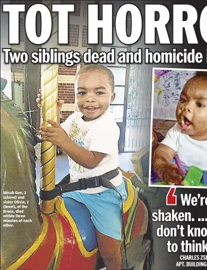  ??  ?? Micah Gee, 3 (above) and sister Olivia, 2 (inset), of the Bronx, died within three minutes of each other.