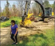  ?? ?? Johnston, who lost her home in a May wildfire, walks through her property July 4 in the East Prairie Metis Settlement.