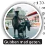  ??  ?? Gubben med geten.